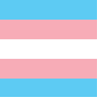 Transgender Flag